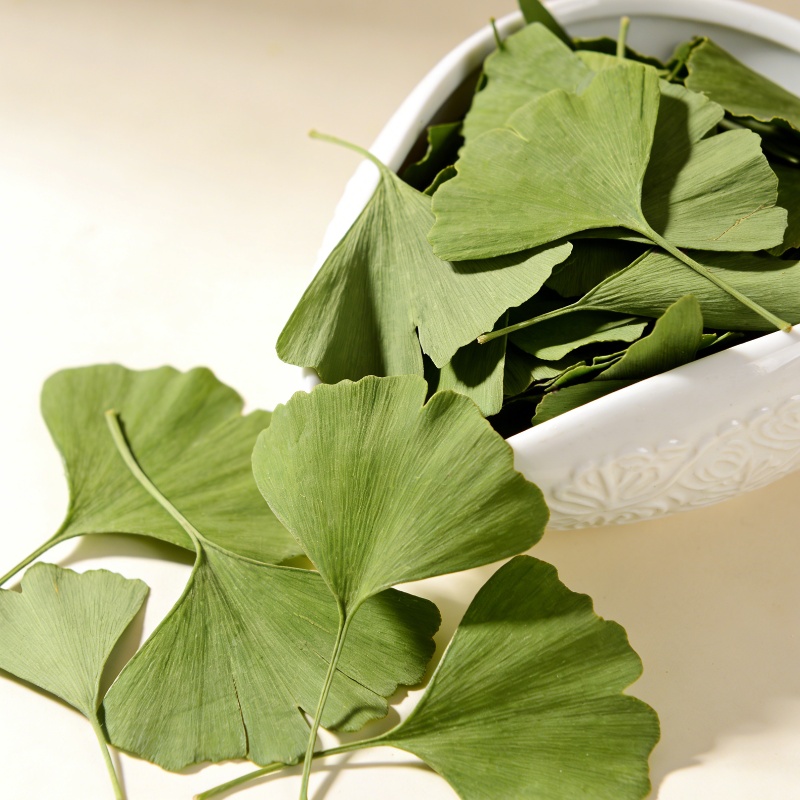 Quality Ginkgo Biloba Dried Le - Quality Home Fragrance ulasan dan harga