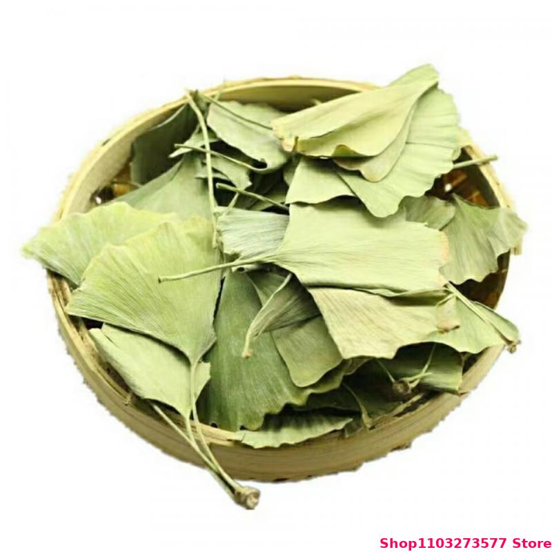 Quality Ginkgo Biloba Dried Le - Quality Home Fragrance ulasan dan harga