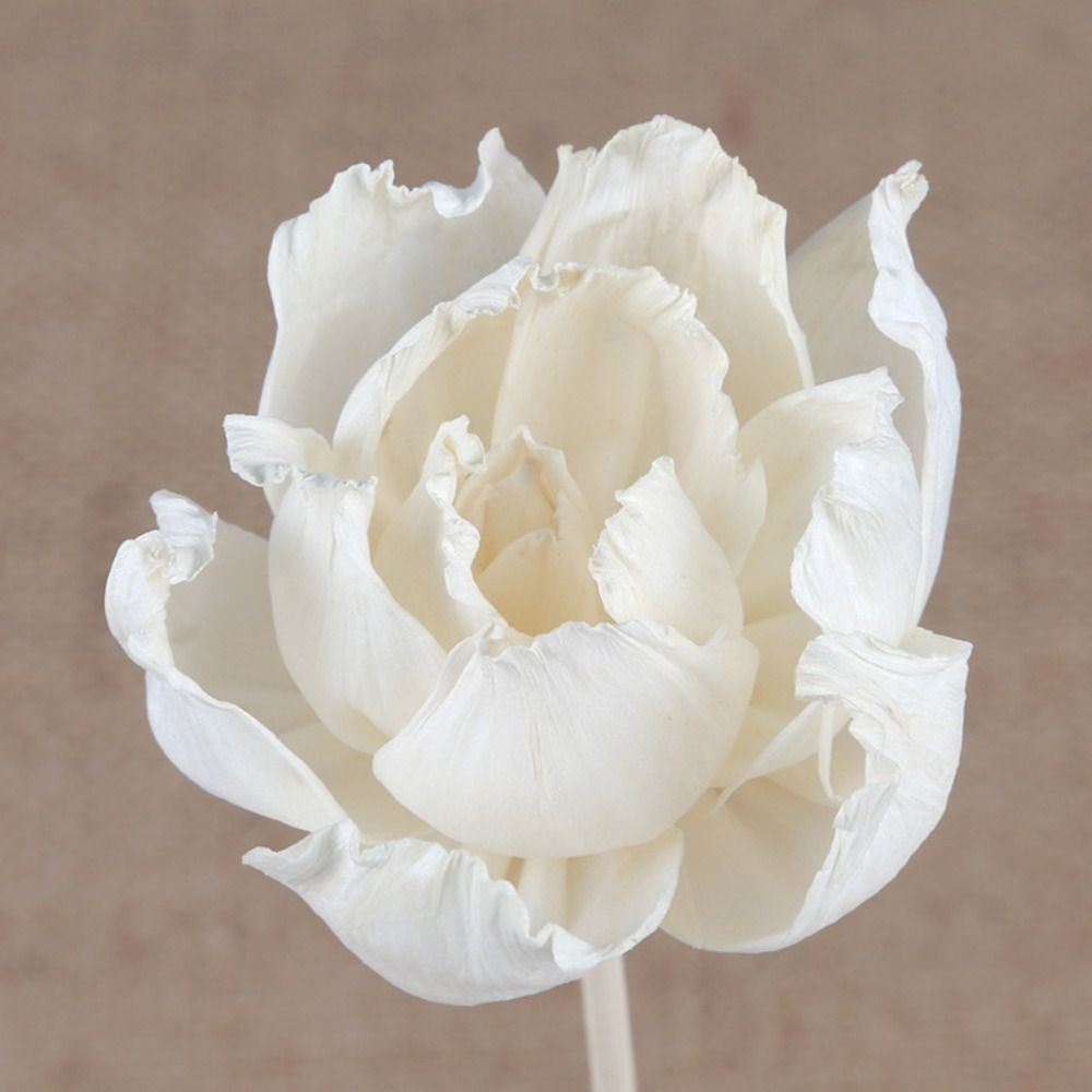 Multipurpose 5cm Natural Handm - Home Fragrance Stick ulasan dan harga