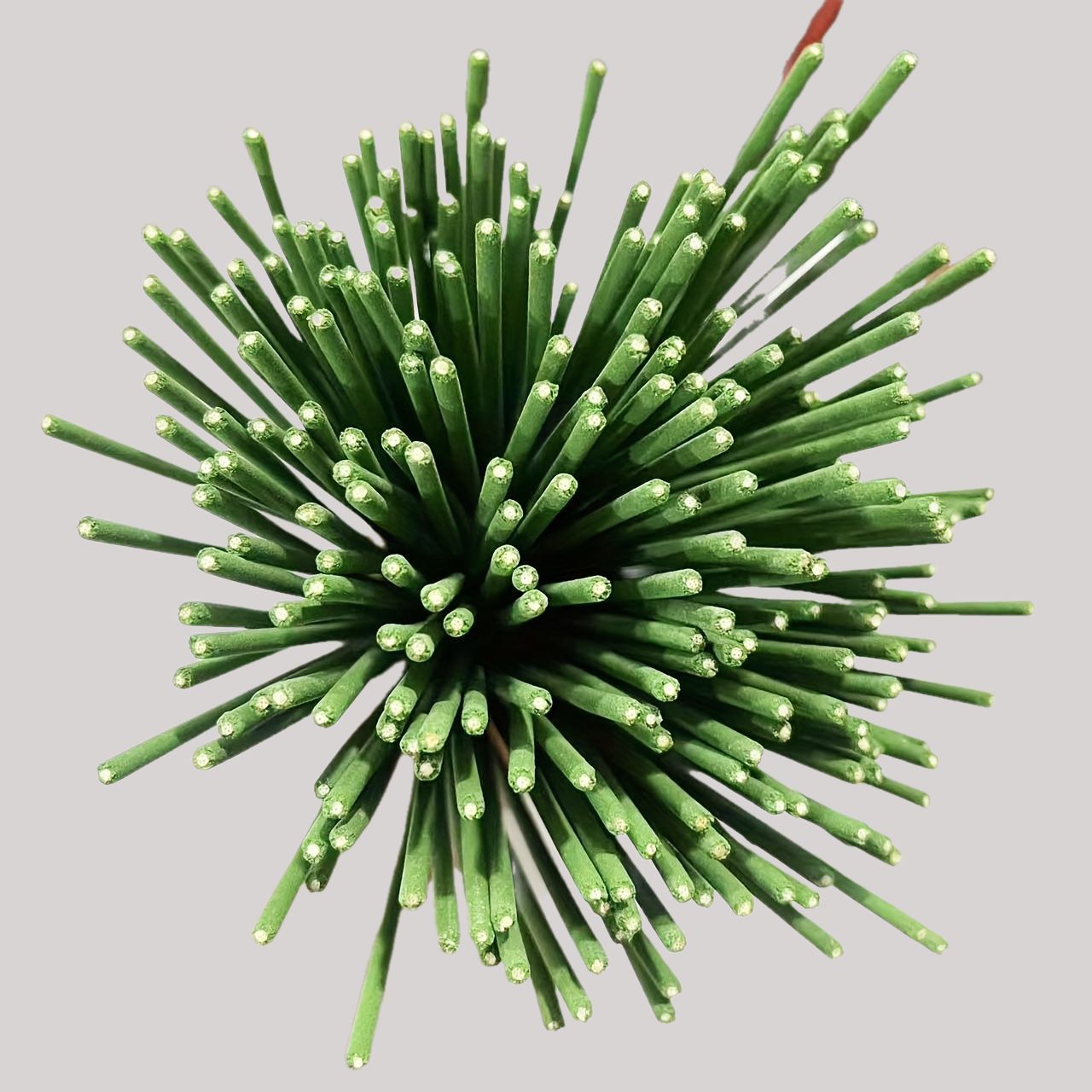 Reed Diffuser Sticks Lemongras - Home Fragrance Stick ulasan dan harga